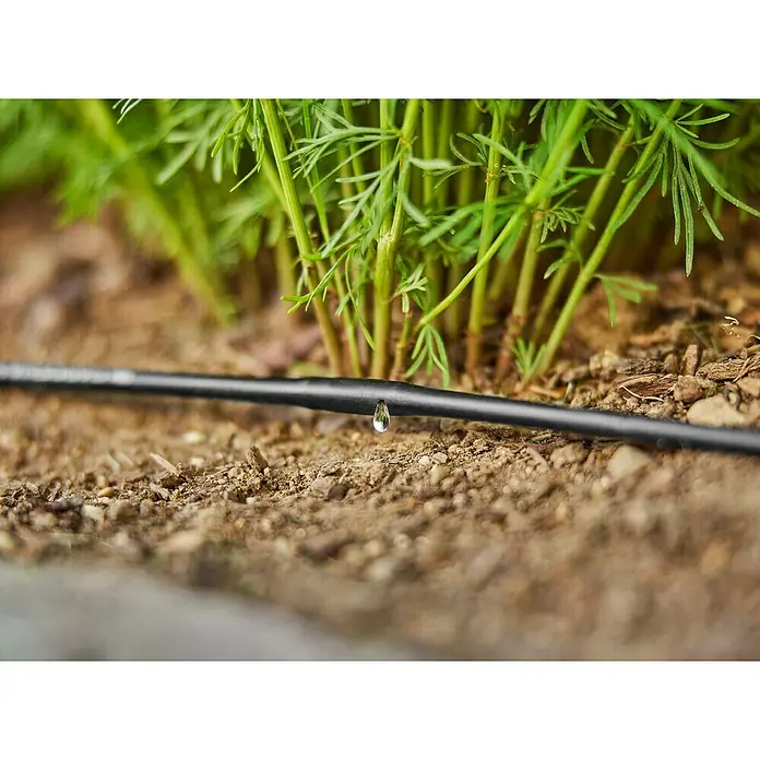 Gardena Micro-Drip Tropfrohr - Geeignet für: Randbewässerung, Anwendungsbereich: Außen, Länge: 15 m - Nahaufnahme eines Bewässerungsschlauchs, der Wasser an eine Reihe grüner Pflanzen abgibt. Präzise Bewässerung für gesundes Pflanzenwachstum.