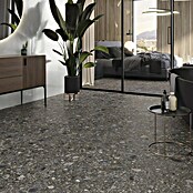 Feinsteinzeugfliese Terrazzo Ceppo XXL (119,7 x 279,7 cm, Schwarz, Matt) | BAUHAUS