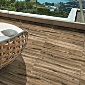 Terrassenfliese Strobus (60 x 60 x 2 cm, Oak/Braun, Matt) | BAUHAUS