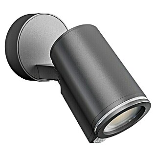 Steinel LED sensor buitenlamp Spot One (7,47 W, l x b x h: 9,8 x 9,7 x 17,5 cm, Antraciet, Warm wit)