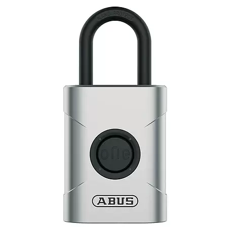 Abus  Vorhängeschloss EVEROX 61/45