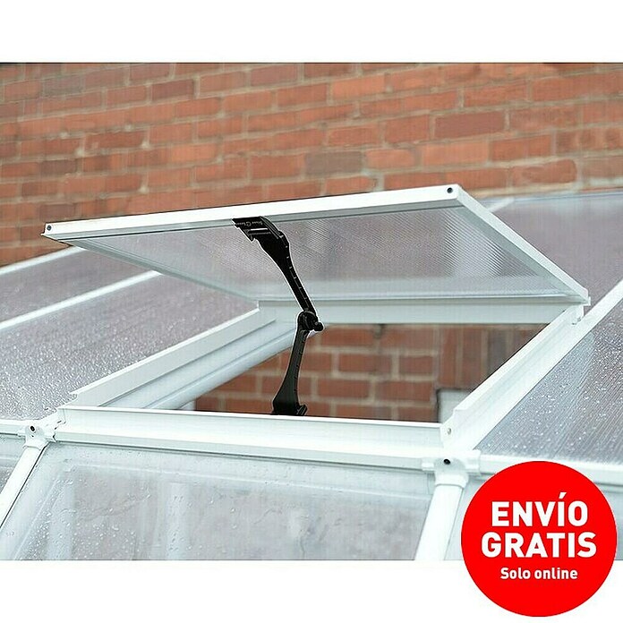 Palram – Canopia Ventana de techo Sunroom (L x An: 61 x 61 cm) | BAUHAUS