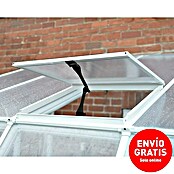 Palram – Canopia Ventana de techo Sunroom (L x An: 61 x 61 cm) | BAUHAUS