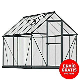 Palram – Canopia Invernadero Mythos (Medidas ext. (An x Pr): 185 x 306 cm, 4 mm, Gris)