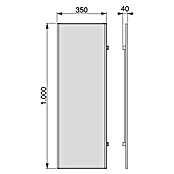 Emuca Espejo Hack (An x Al: 350 x 1.000 mm, Negro) | BAUHAUS