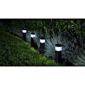 BAUHAUS Solar-Erdspieß Piazza (LED, 4 Stk., Anthrazit, Höhe: 39 cm)