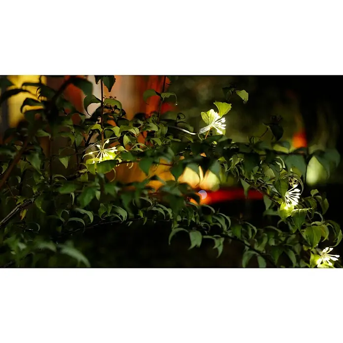 BAUHAUS Solar-Lichterkette Feuerwerk - Länge: 3,4 m, LED - Nahaufnahme einer leuchtenden Blüte zwischen grünen Blättern, die im Dunkeln eine geheimnisvolle Atmosphäre erzeugt.