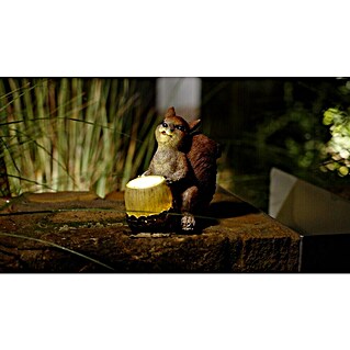 BAUHAUS Solarleuchte Eichhörnchen (12,5 x 18 cm, Anzahl LED: 1 Stk.)