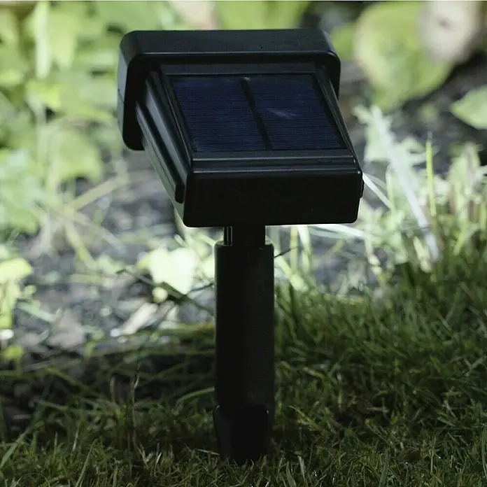 BAUHAUS Solar-Erdspieß - L x B x H: 14 x 12 x 31 cm, Schwarz, IP44, 50 lm - Nahaufnahme einer schwarzen Solarleuchte im Garten, die eine umweltfreundliche Beleuchtungslösung für Außenbereiche darstellt.
