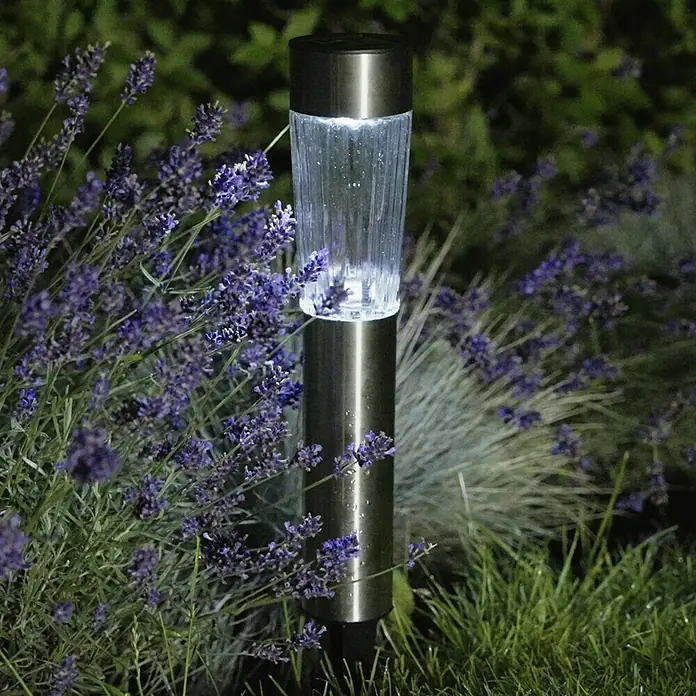 BAUHAUS Solar-Erdspieß Big Glas - 0,12 W, Transparent, Nickel, IP44, 6 lm - Garten-Solarleuchte aus Edelstahl im Freien mit lila Blumen. Ideal für die Beleuchtung von Garten und Terrasse.