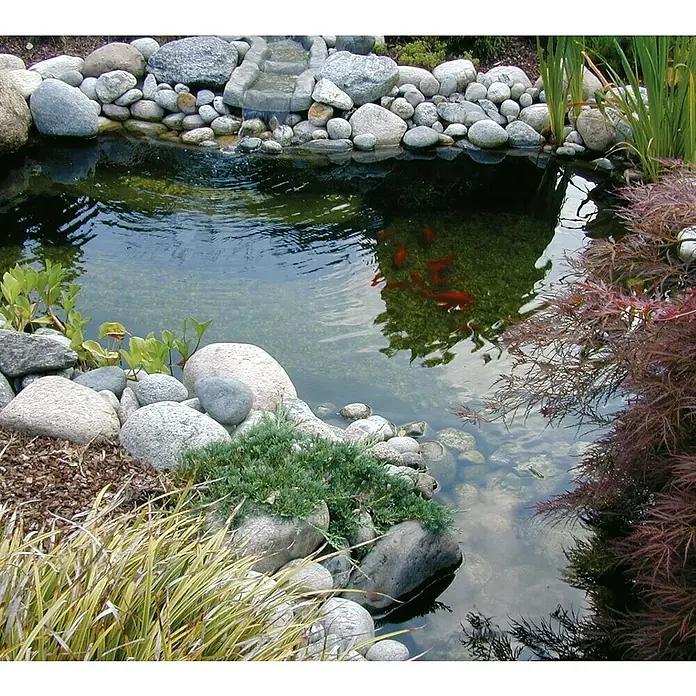 Ubbink Teichschale Iris - 1.580 l - Nahaufnahme eines ruhigen Gartenteichs mit Steinen, Pflanzen und der Reflexion von Goldfischen im klaren Wasser.