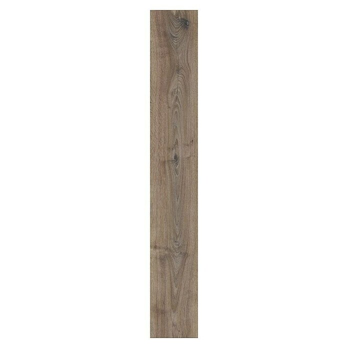 LOGOCLIC Aquaprotect Laminado Roble Renaissance (1.288 x 195 x 12 mm, Roble Renaissance, AC5, Resistente al agua) | BAUHAUS