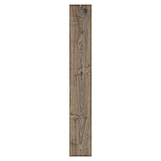 LOGOCLIC Aquaprotect Laminado Roble Renaissance (1.288 x 195 x 12 mm, Roble Renaissance, AC5)