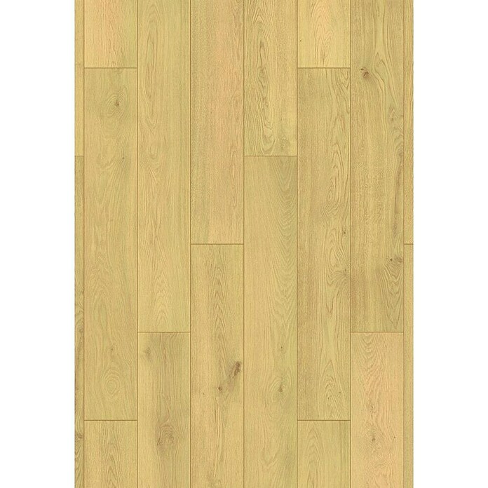 LOGOCLIC Aquaprotect Laminado Roble Cornsilk Ethereal (1.288 x 195 x 12 mm, Roble Cornsilk Ethereal, AC5, Resistente al agua) | BAUHAUS