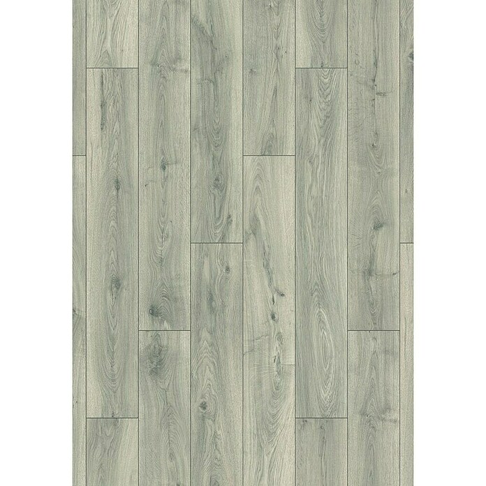 LOGOCLIC Aquaprotect Laminado Roble Silverdale (1.288 x 195 x 8 mm, Roble Silverdale, AC4, Resistente al agua) | BAUHAUS