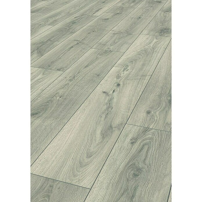 LOGOCLIC Aquaprotect Laminado Roble Silverdale (1.288 x 195 x 8 mm, Roble Silverdale, AC4, Resistente al agua) | BAUHAUS