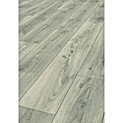 LOGOCLIC Aquaprotect Laminado Roble Silverdale (1.288 x 195 x 8 mm, Roble Silverdale, AC4, Resistente al agua) | BAUHAUS