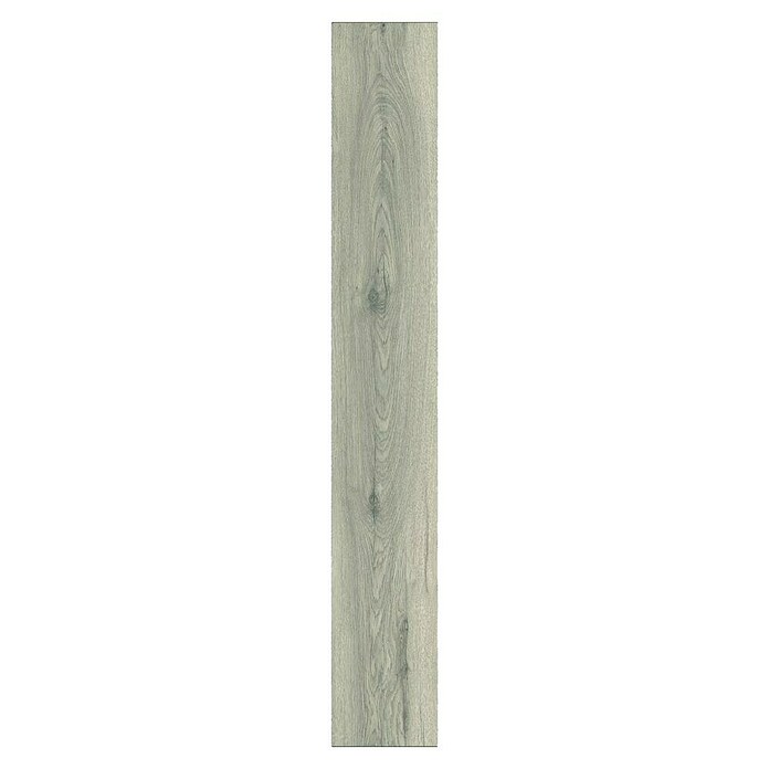 LOGOCLIC Aquaprotect Laminado Roble Silverdale (1.288 x 195 x 8 mm, Roble Silverdale, AC4, Resistente al agua) | BAUHAUS