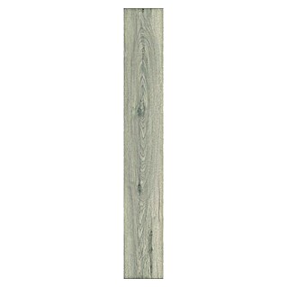 LOGOCLIC Aquaprotect Laminado Roble Silverdale (1.288 x 195 x 8 mm, Roble Silverdale, AC4, Resistente al agua)