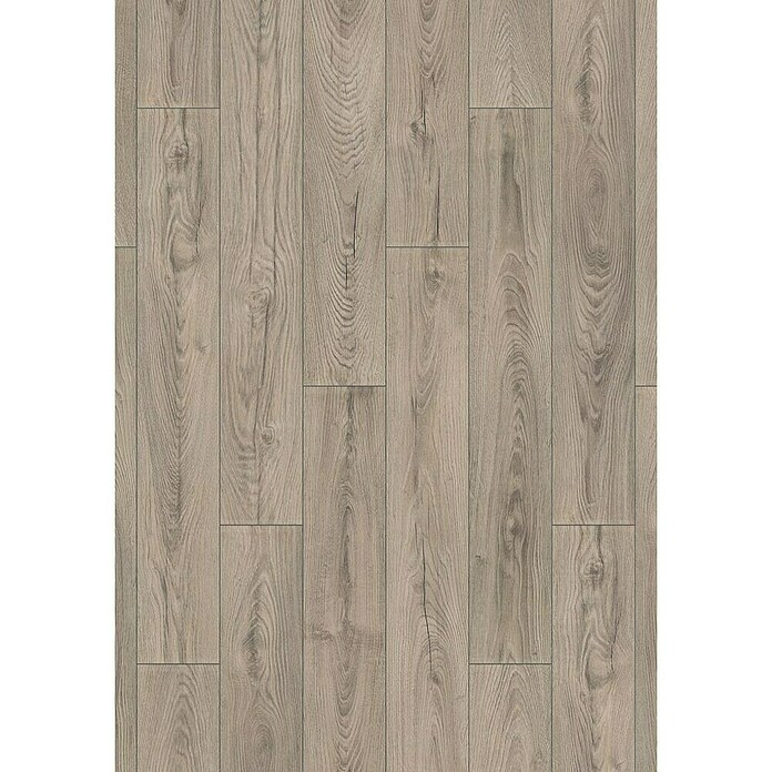 LOGOCLIC Aquaprotect Laminado Roble Mushroom (1.288 x 195 x 8 mm, Roble Mushroom, AC5, Resistente al agua) | BAUHAUS