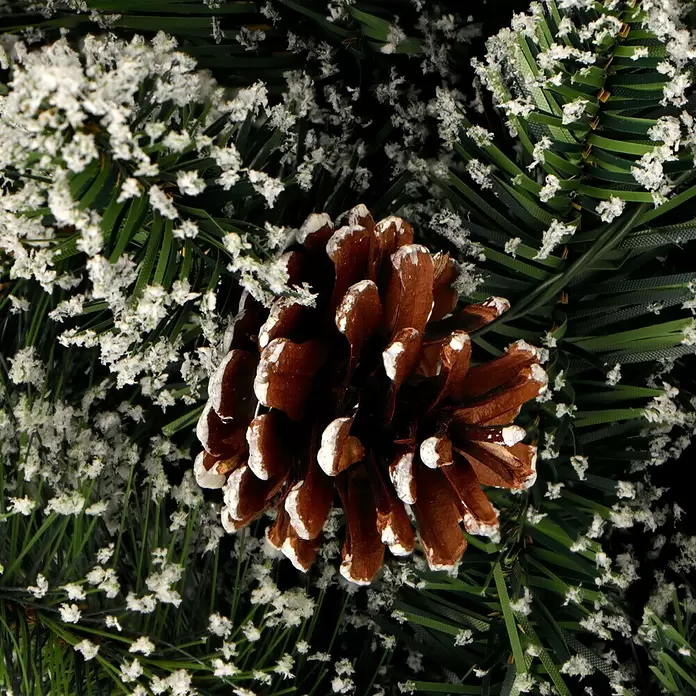 vogeltränke blumenkasten Dekorativer Pflanzstuhl Metallstuhl zum Bepflanzen Pflanzkasten Blumen main image 0