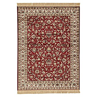 Vloerkleed Farshian (Rood / Beige, 200 x 290 cm)