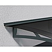 Palram – Canopia Pultvordach Aquila (150,5 x 91,5 x 17,5 cm, Anthrazit, Farbe Dach: Grau) | BAUHAUS