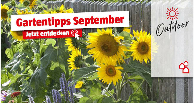 Gartentipps September