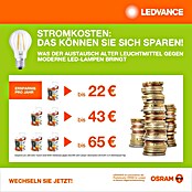 Osram LED-Leuchtmittel CLP40 (2,2 W, 470 lm, Weiß) | BAUHAUS