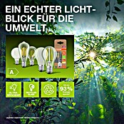 Osram LED-Leuchtmittel CLP40 (2,2 W, 470 lm, Weiß) | BAUHAUS