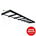 Palram – Canopia Marquesina para puerta Sophia XL 