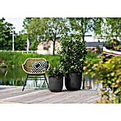 Capi Europe Urban Pflanzgefäß Smooth NL (Ø x H: 43 x 41 cm, Schwarz)