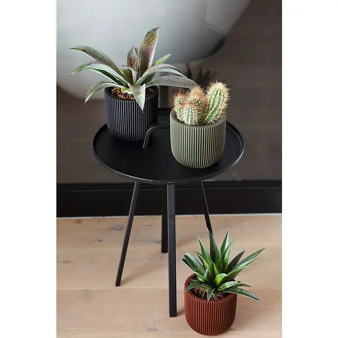 Capi Europe Übertopf rund Nature GrooveAußenmaß (Ø x H): 14 x 13 cm, Grün, Polyester - Drei Pflanzen in gerippten Töpfen stehen auf einem schwarzen Beistelltisch und auf dem Boden, die Pflanzen sind Kakteen und Sukkulenten.