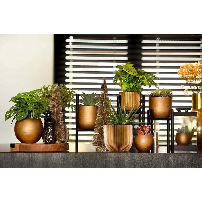 Capi Europe Übertopf rund Nature Groove - Außenmaß (Ø x H): 14 x 13 cm, Schwarz/Gold, Polyester - Verschiedene Zimmerpflanzen in goldenen Töpfen mit verschiedenen Texturen und Größen stehen auf einem Tisch vor Jalousien.