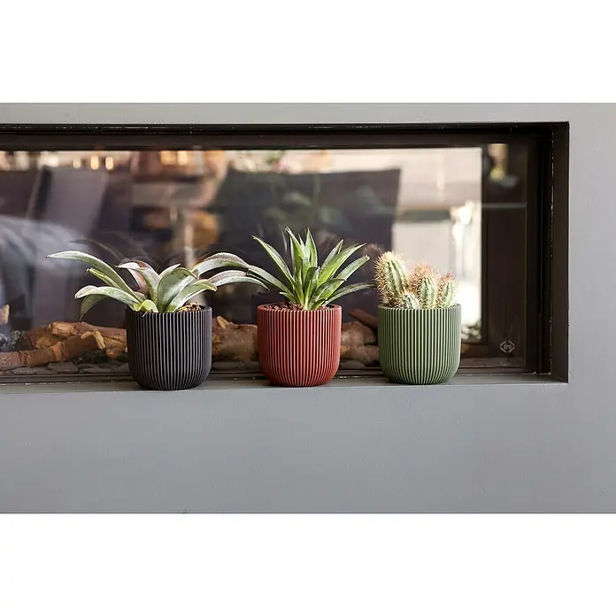 Capi Europe Übertopf rund Nature GrooveAußenmaß (Ø x H): 14 x 13 cm, Grün, Polyester - Drei geriffelte Pflanzgefäße in Schwarz, Rot und Grün mit Kakteen und Sukkulenten, die auf einem Sims vor einem Fenster stehen.