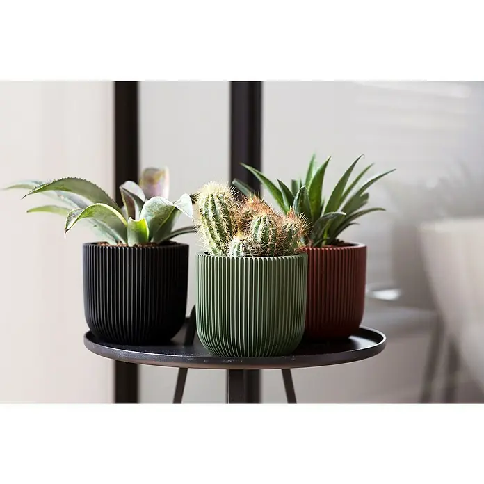 Capi Europe Übertopf rund Nature GrooveAußenmaß (Ø x H): 14 x 13 cm, Grün, Polyester - Drei Zimmerpflanzen in stilvollen, gerippten Übertöpfen in Schwarz, Grün und Terrakotta auf einem kleinen Beistelltisch.