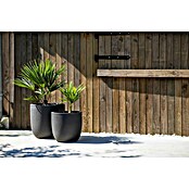 Capi Europe Urban Pflanzgefäß Smooth NL (Ø x H: 43 x 41 cm, Schwarz)