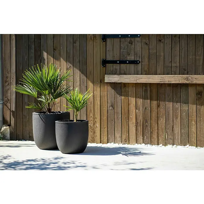 Capi Europe Urban Pflanztopf Smooth - Außenmaß (Ø x H): 34 x 35 cm, Schwarz, Kunststoff - Zwei moderne graue Pflanzgefäße mit grünen Pflanzen stehen vor einer Holzwand und verleihen dem Außenbereich eine stilvolle Note.