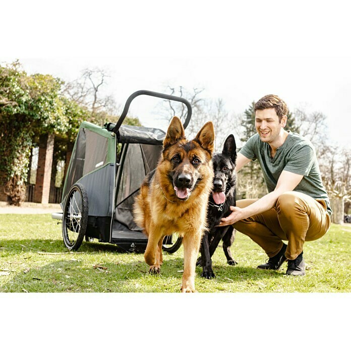 Croozer Hundeanhänger Dog BruunoTraglast: 45 kg, Farbe: Pine green Mood Shot