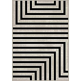 Vloerkleed Vierkant (Beige / Zwart, 160 x 230 cm)