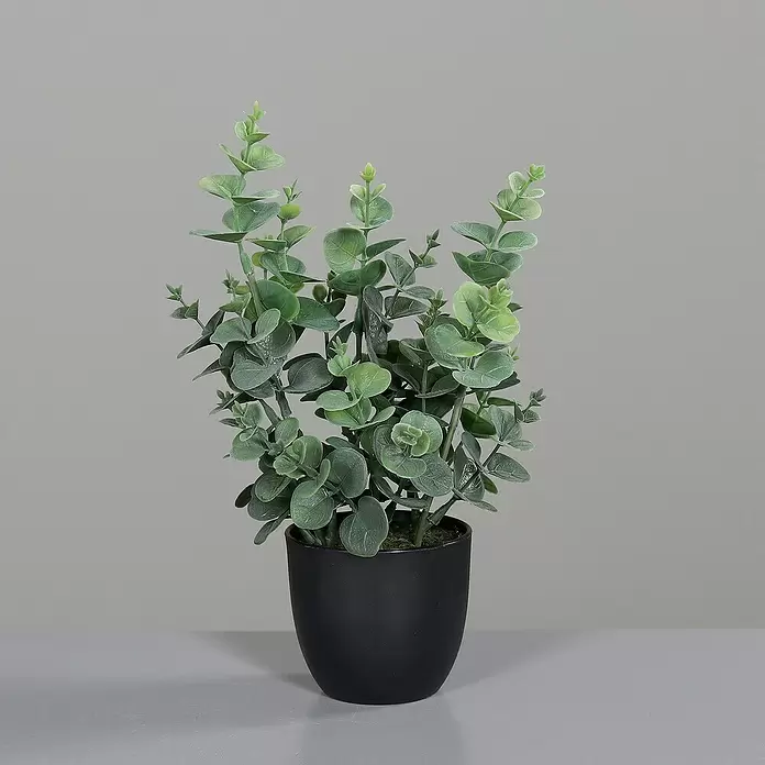 Kunstpflanze Eukalyptus - Höhe: 30 cm, Grün, Kunststoff - Eine lebendige künstliche grüne Eukalyptuspflanze in einem eleganten schwarzen Topf.