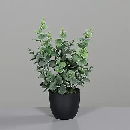 Kunstpflanze Eukalyptus