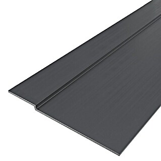 Abdeckprofil (200 x 6,7 cm, Schwarz)