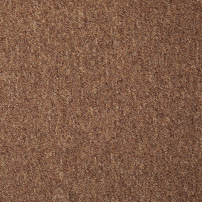 Teppichfliese Vienna (50 x 50 cm, Schlinge, 100 % Polypropylen, Beige) | BAUHAUS