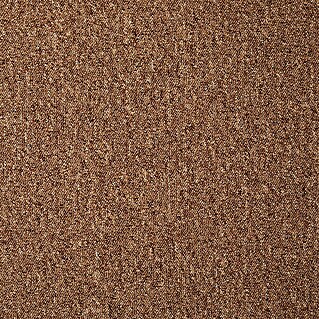 Teppichfliese Vienna (50 x 50 cm, Schlinge, 100 % Polypropylen, Beige)