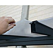 Terrassenüberdachung Tuscany LED (B x T: 3,07 x 3 m, Anthrazitgrau, Polycarbonat, Transparent) | BAUHAUS