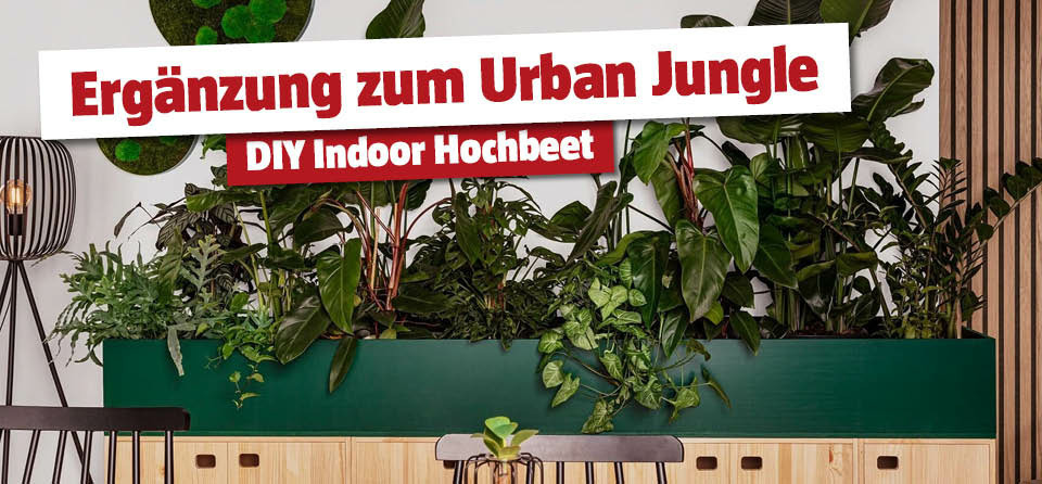 DIY Indoor Hochbeet