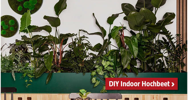 DIY Indoor Hochbeet