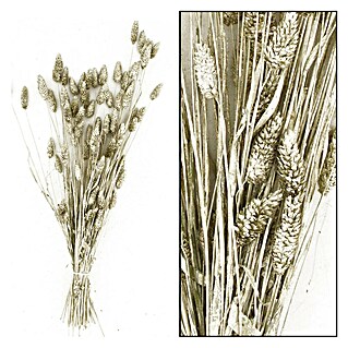Ramo de flores secas Phalaris (Largo: 76 cm, Plata)