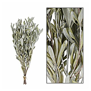 Ramo de flores secas Mixto (Largo: 76 cm, Natural)